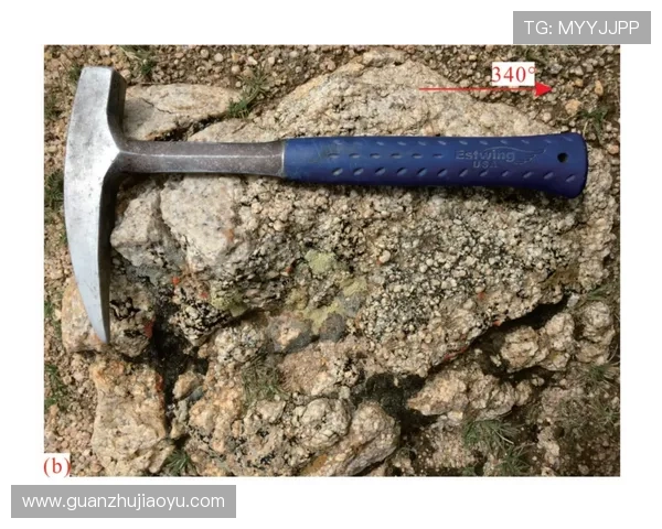 万博maxbextx多种支付方式介绍，满足不同用户的多样需求